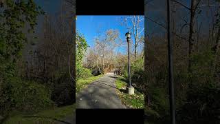 Virtual Walk Erwin Linear Trlflood damage I26 toward Asheville NC with Retired Lady Hiker Nov 2024 [upl. by Amikehs]