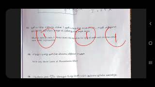 12th physics official answer key public exam2023 [upl. by Crabb]