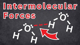 3 Intermolecular Forces You Must Know to PASS Chemistry  Tadashi Science [upl. by Yssirhc]