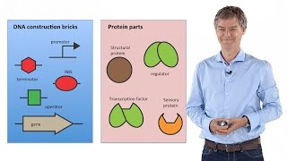 Synthetic Biology Principles and Applications  Jan Roelof van der Meer [upl. by Annamarie161]