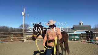 How to put a snaffle bit on a horse [upl. by Adrienne242]