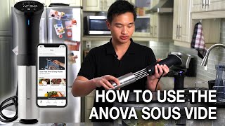 How to Use the Anova Sous Vide Precision Cooker [upl. by Messab]