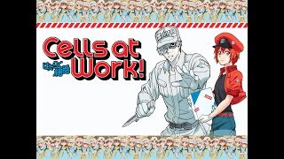 Cells At Work  Hataraku Saibou Opening Audio Latino [upl. by Fishback]