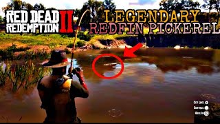 Red Dead Redemption 2 Legendary Redfin Pickerel LocationCatch [upl. by Keith]