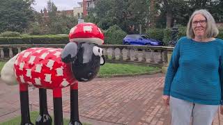 Shaun the sheep sculpture trail in Brighton and Hove [upl. by Akcimat]