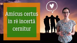 Latine loqui  Latin phrases  Amicus certus in re incerta cernitur [upl. by Leopoldeen]