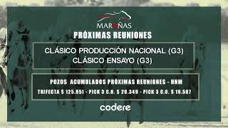 140724 CARRERAS HIPODROMO MARONAS  EN VIVO  URUGUAY [upl. by Rennie]