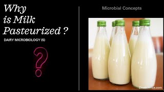 Why is Milk Pasteurized   Dairy Microbiology 5  Pasteurization  Pasteurized milk [upl. by Hannavahs]