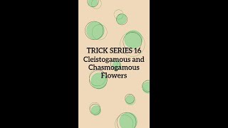 Trickseries16 Cleistogamous and Chasmogamous flowers [upl. by Berthe]