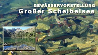 Scheibelsee  Forellen und Saiblinge im Bergsee  Gewässervorstellung [upl. by Eseeryt644]