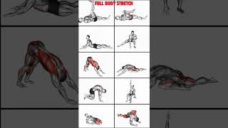 Top 10 Full Body Stretching Exercises workout stretching [upl. by Annahsor]