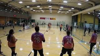 USA Dodgeball 2024 Phoenix Flex vs Just Happy To Be Here [upl. by Sierra]