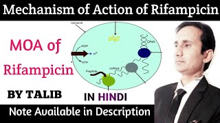 Mechanism of Action of Rifampicin In Hindi  Antitubercular Drugs [upl. by Hanafee]