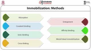 Enzyme Immobilization techniques use of isolated enzymes in industrial processes [upl. by Ern]