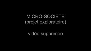 MICROSOCIÉTÉ projet exploratoire [upl. by Aniretac]