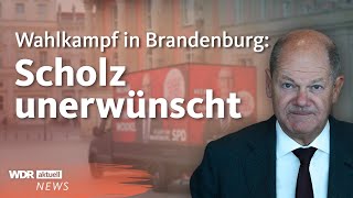 Vor Wahlen in Brandenburg KopfanKopfRennen zwischen SPD und AfD  Aktuelle Stunde [upl. by Hope]