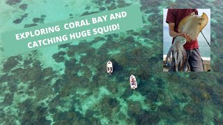 Exploring and fishing Coral Bay West Australia Catching HUGE squid diving and camping [upl. by Mackenzie570]