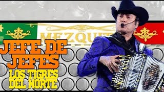 El Jefe de Jefes Los Tigres del Norte Acordeon Mezquite [upl. by Rednasxela]