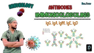 What is Immunoglobulin Functions and Types Explained  Antibodies igG igA  igM igE amp IgD [upl. by Cornel]