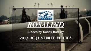 Breeders Cup 2013 quot Rosalindquot  JockeyCam presented by EquiSightcom in HD [upl. by Zashin360]