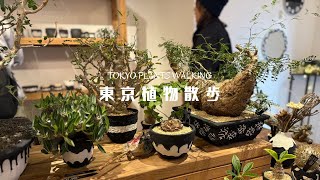 【東京植物散歩】植物好き家族が清澄白河を歩く！かわいすぎる鉢との出会いに娘とママが大騒ぎ！珍奇植物の植え込みも必見 [upl. by Oinotna897]