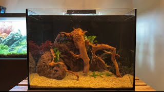 Simple Low Tech NanoTank Aquascape 30L [upl. by Feliza900]