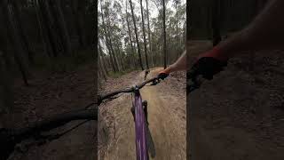 Nowra Now Has Rad MTB Jumps Funnel Web Trail at Superbowl [upl. by Wootten]