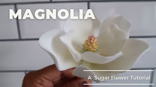 How To Make A Magnolia Gum Paste Flower [upl. by Valorie]