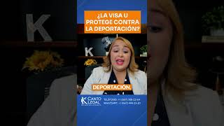 visa U protege de la deportación Llama 1 667 3082264  WA 667 4442320 VisaU usa eeuu [upl. by Tristram]