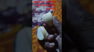 naspati very very sweets।।খুবই মজার মিষ্টি নাশপাতি।।shortvideo fruts khai khaicom234 fruts [upl. by Noslien]