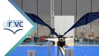 Optimal elastic wing for flappingwing robots through passive morphing [upl. by Yelssew]