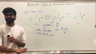 MCAT Biochemistry Chapter 1 Amino Acids Peptides and Proteins Part 2 [upl. by Prady]