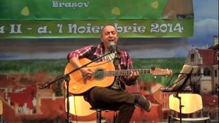 Emeric Imre  Condamnarea la toamna la DOR DE FOLK Brasov 2014 [upl. by Bellaude]