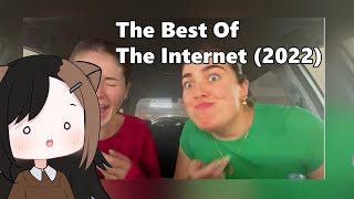 Vtuber reacts The Best Of The Internet 2022 [upl. by Ehrlich]