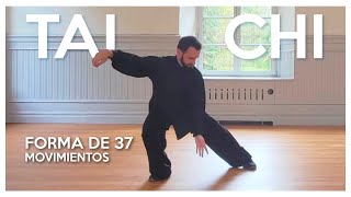 Forma de 37 movimientos  TAI CHI estilo Yang [upl. by Labina]