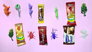 crust bescut giggly opus lollipop asmr open soundcandy toy tv asmrchocolateplant horse camel asmr [upl. by Crispa]