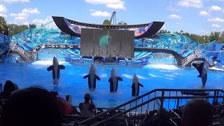 One Ocean  Shamu Killer Whale Show  Sea World Orlando [upl. by Dorothi]