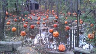 Carlisle Reservsations Halloween Fair In Pictures [upl. by Ocer]