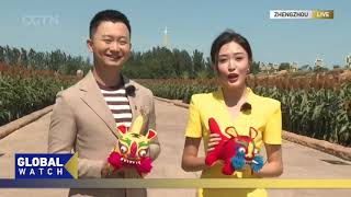 CGTN explores Chinese Farmers Harvest Festival celebrations in Henan [upl. by Mackie986]