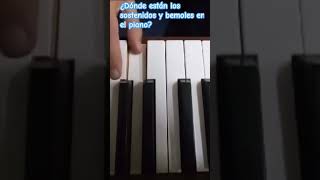 Dónde están los sostenidos y bemoles en el piano bien explicado piano pianotutorial music [upl. by Longerich452]