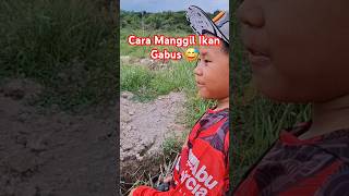 Cara Manggil Ikan Gabus Saat Kastingfishing kastingikangabus Banyunur [upl. by Sinclare421]