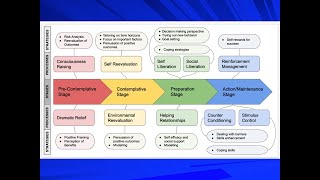 The Transtheoretical Model applied to schoolaged students with actingout behaviour disorders [upl. by Christoper]