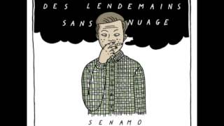 Senamo  3Lexutoire Feat FLO amp Seyté [upl. by Funk464]