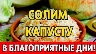 Лучшие даты по лунному календарю для ЗАСОЛКИ КВАШЕНИЯ КАПУСТЫ на сентябрь октябрь 2023 [upl. by Stover]