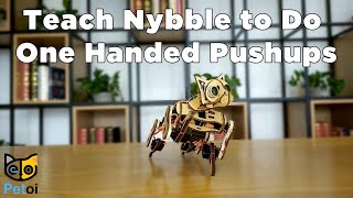 Beginners Guide Teaching Nybble the Quadruped Robot Cat Visual OneHanded PushUps  Petoi [upl. by Regor]