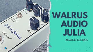 WALRUS AUDIO  JULIA ddsound CLONE [upl. by Llednil]