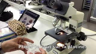 Comment utiliser un microsope en LPNA pour identifier les minéraux dune roche [upl. by Caiaphas]