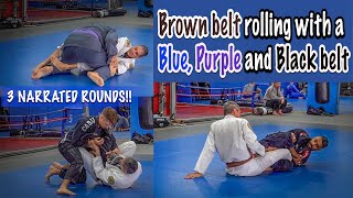 A Brown belt rolling with a Blue Purple and Black belt [upl. by Airegin898]