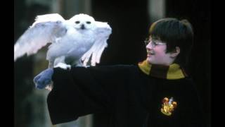 Hedwigs Theme BACKWARDS  Harry potter [upl. by Demy]