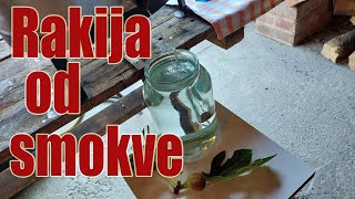 Pečenje rakije od smokve fig brandy [upl. by Agle]